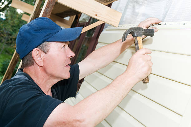 Best Storm Damage Siding Repair  in Collierville, TN