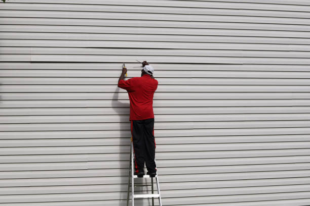 Best Siding Replacement  in Collierville, TN